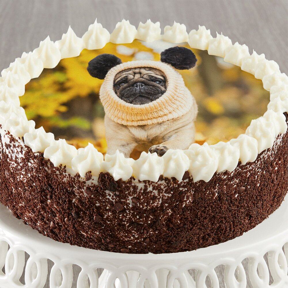 A real photo cake from our bakery - your picture in edible ink
