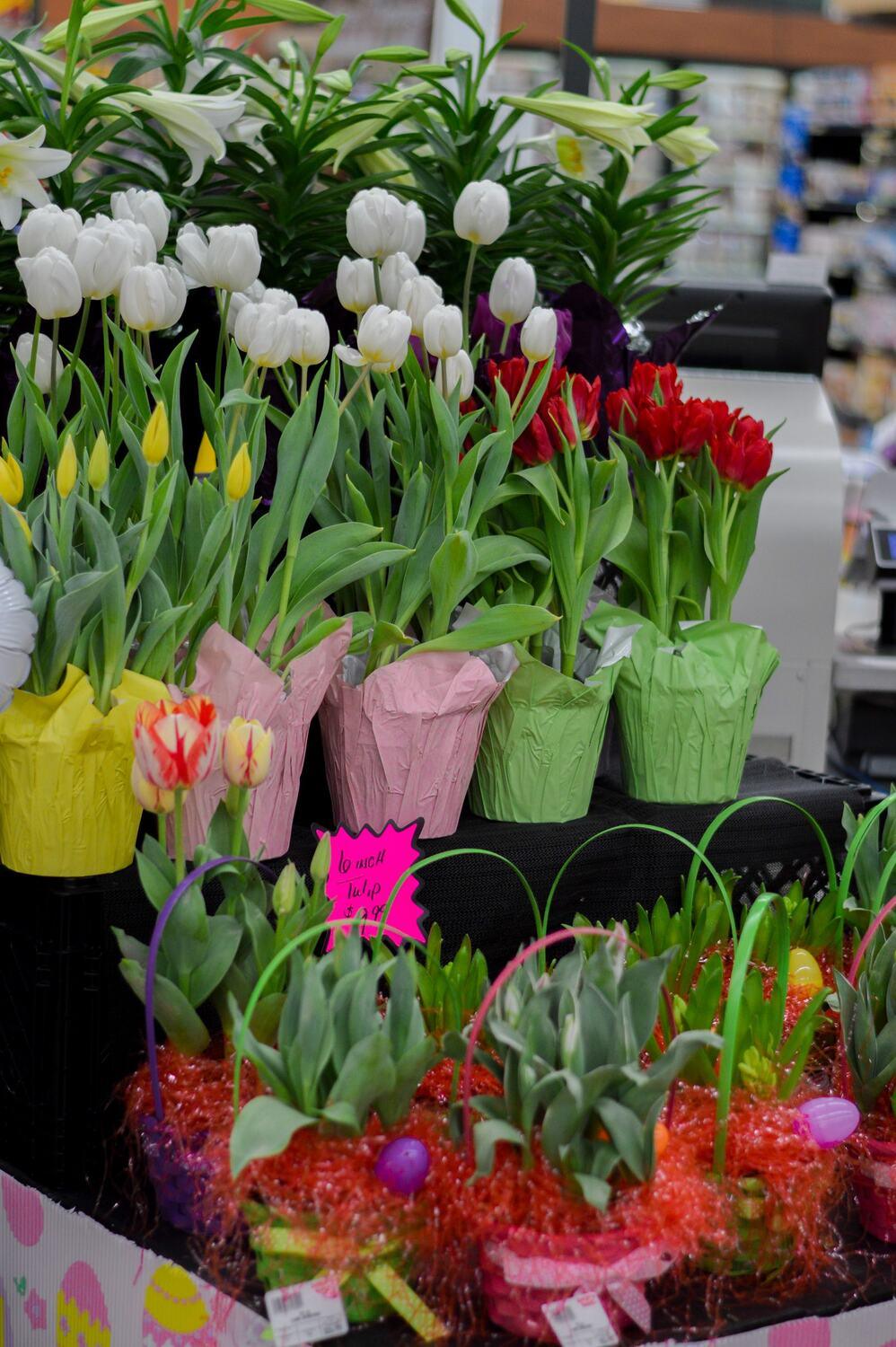 Fresh tulips in the floral department