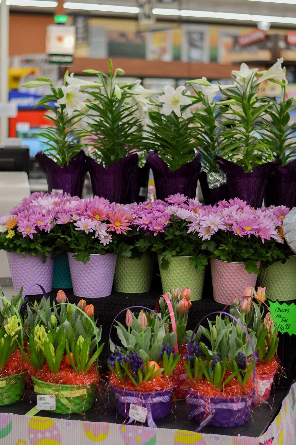 Fresh lilies in the floral department